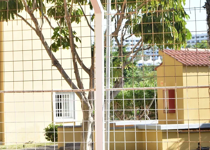 Tisalaya Park 3* Maspalomas (Gran Canaria)